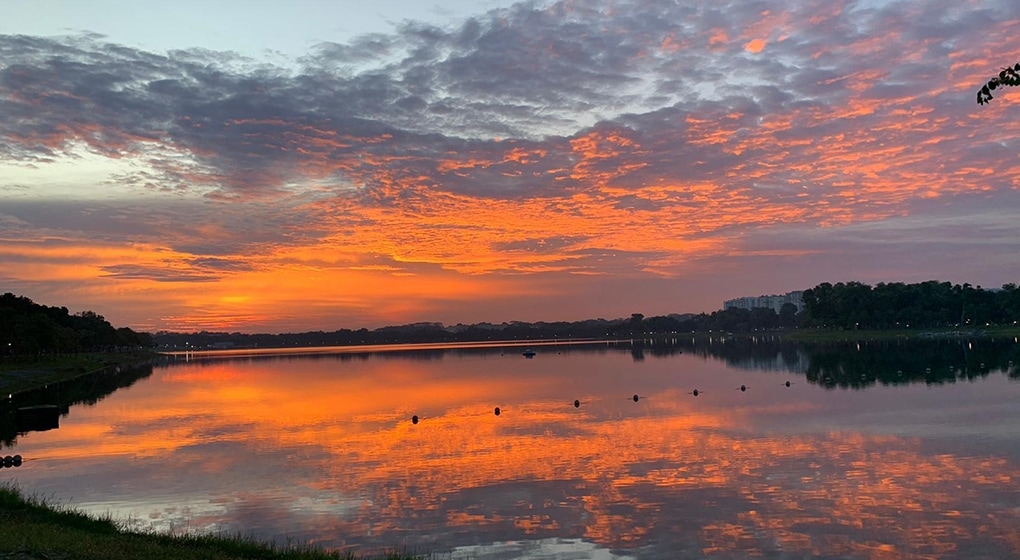 Bedok Reservoir Park Sunset