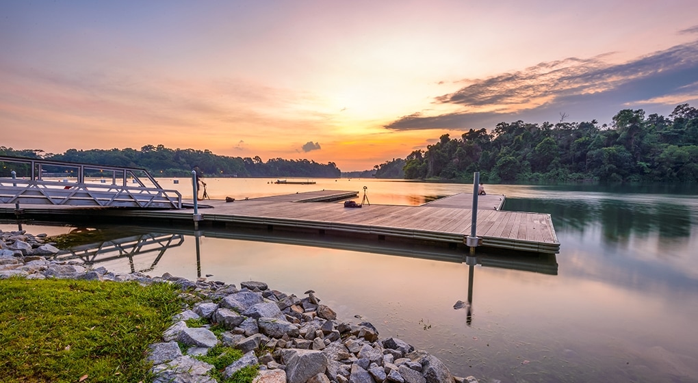 MacRitchie Reservoir