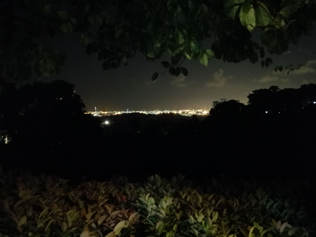 Mt Faber night scene