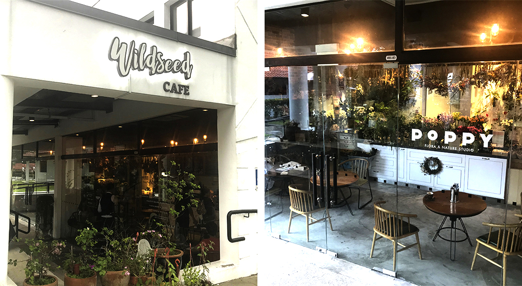 Wildseed-CafeBar